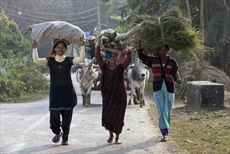 Nepalese women carrying goods on their heads