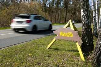 Sign with the German word ""Wildunfalle"" with a passing car