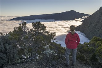 Young woman overlooking a sea of clouds above Cilaos basin