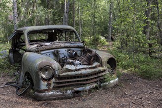 Auto graveyard in the forest