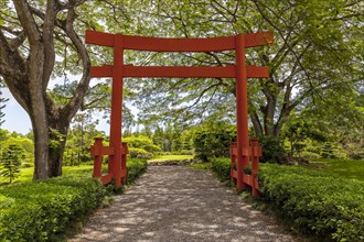 Torii entrance of the Japanese Garden at the Jardin Botanico National Dr. Rafael Maria Moscoso