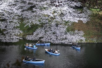 Canal with rowing boats in front of blooming cherry trees on a canal at night