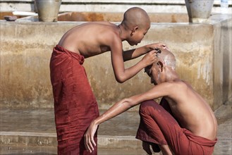 Novice monks during a head shave in the Shwe Yaunghwe Kyaung Monastery