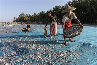 Women laying out fish to dry
