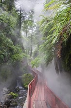 Steaming hot springs in the gorge of the Termas Geometricas