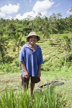 Balinese rice farmer