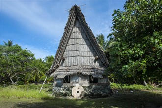 Traditional thatched hut