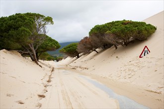 Wandering dune of Bolonia