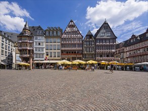 Half-timbered houses