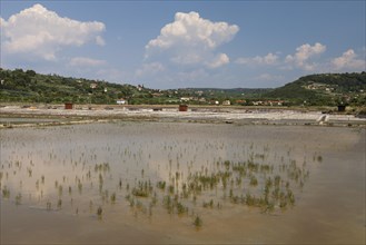 Salt works in the nature reserve of Strunjan