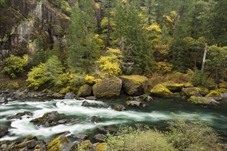 North Umqua River in autumn