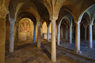 Hall crypt with ancient reused columns in the Basilica of San Pietro