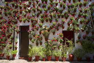 Flower-bedecked inner courtyard during the Fiesta de los Patios