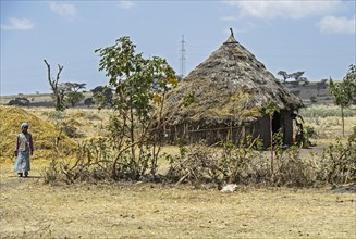 Thatched round hut of the Oromo