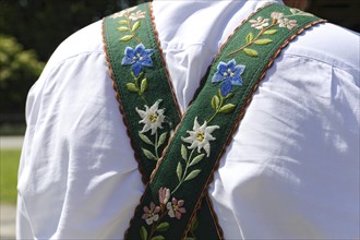 Suspenders embroidered with gentian and edelweiss flowers