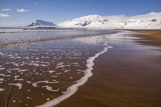 Sunny winter day on the sandy beach in front of Snaefellsjokull volcano