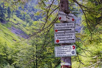 Hiking signs at the Wolfsschlucht gorge