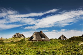 Thatched Frisian houses in the dunes
