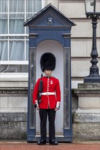 Guard of the Royal Guard with bearskin in front of Buckingham Palace