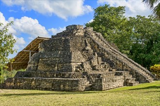 Mayan step pyramid