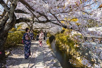 Footpath along a canal