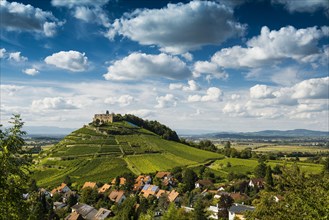 Vineyards and Staufen castle