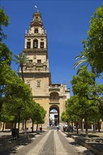 Courtyard and bell tower of the Mezquita de Cordoba