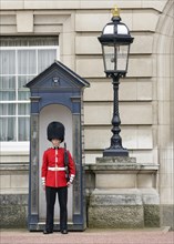 Guardsman from the Queen's Guard outside Buckingham Palace