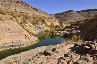 Water in a guelta at Idaran Canyon