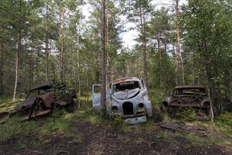 Auto graveyard in the forest