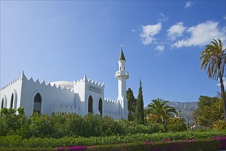 Abdul Aziz Al Saud mosque