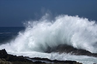 Big waves in the Tsitsikamma National Park