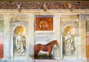 Representation of horses in the Sala dei Cavalli