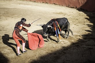 Torero giving the the death blow