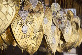 Golden good luck leaves with messages