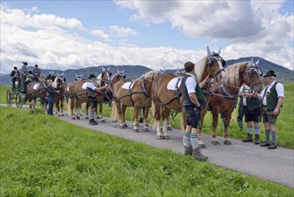 Ten-horse carriage with cold-blooded horses from Leitzachtal Valley