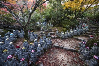 500 Buddha statues under autumn leaves