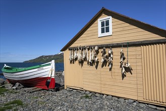 Fisherman's hut with boat and the sea