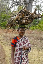 Smiling girl carrying firewood on her head