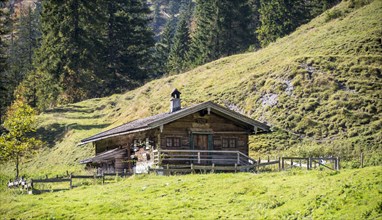 Alpine cabin