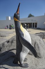 Replica of a King Penguin (Aptenodytes patagonicus)