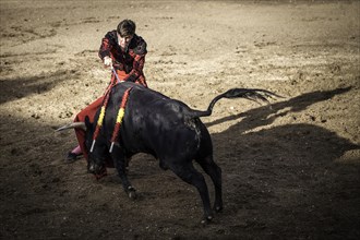 Torero shortly before the death blow