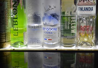 Bottles of various spirits in a row