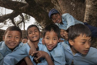 Nepalese students wearing school uniforms posing on a tree