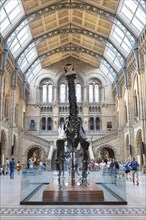 Great entrance hall with dinosaur skeleton