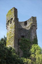 Dilgesturm tower