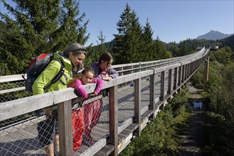 Woman and two girls on the treetop walk
