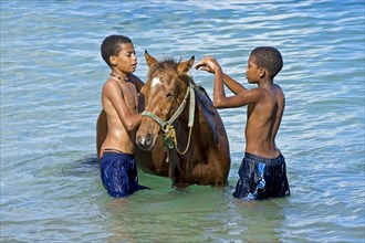 Boys washing horses in the water