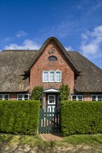 Traditionally thatched Frisian house