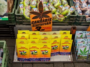 Cannabis seeds on sale